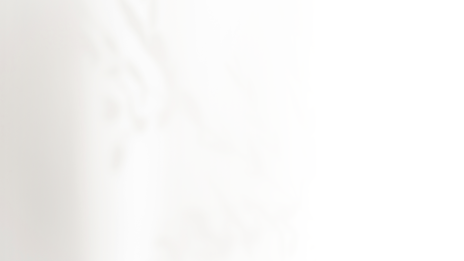 Abstract white background with soft textures.