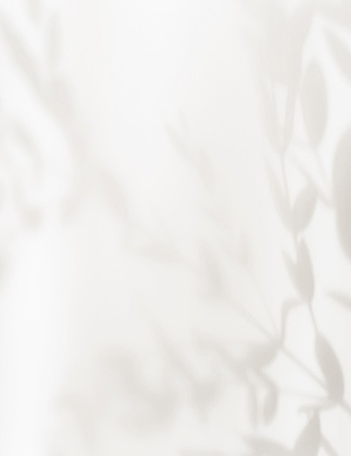 Soft shadows of leaves on a light background.