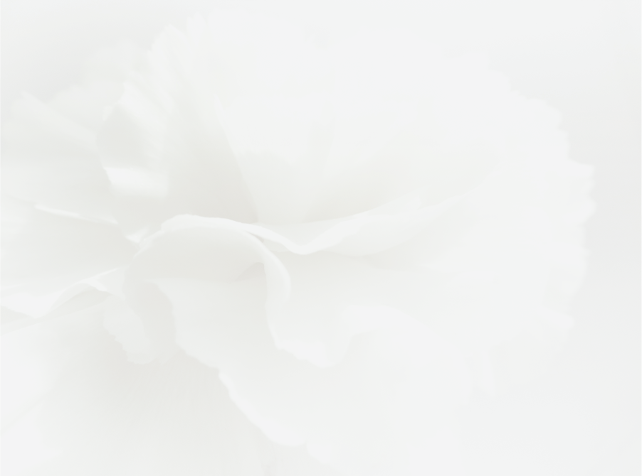 Soft white flower on a light background.