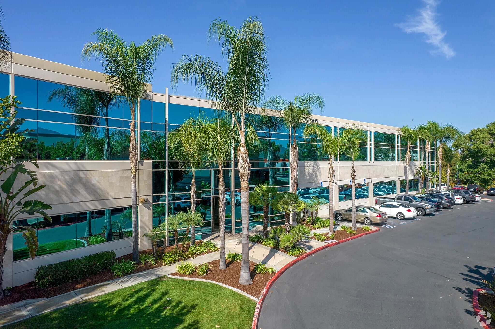 Modern office building surrounded by palm trees.
